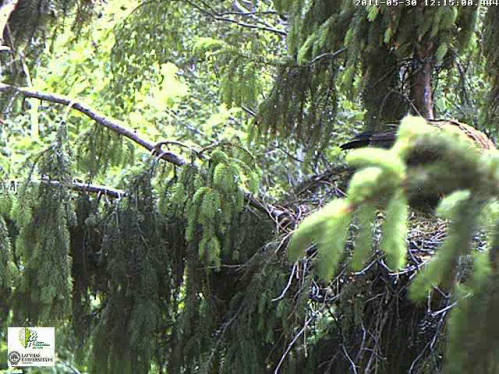 vlcsnap-2011-05-30-12h15m30s244.png
