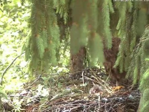 vlcsnap-2013-06-09-19h38m34s11.JPG