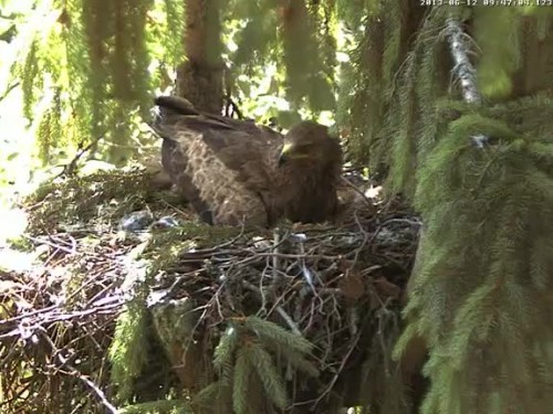 vlcsnap-2013-06-12-09h47m13s202.jpg