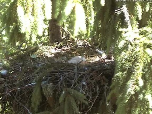 vlcsnap-2013-06-12-14h59m48s215.jpg