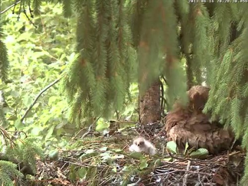 vlcsnap-2013-06-16-20h28m40s25.jpg