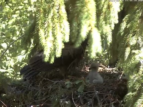vlcsnap-2013-06-19-15h49m50s172.jpg