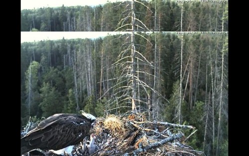 vakariņas.JPG
