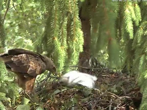 vlcsnap-2013-06-25-16h38m26s211.jpg