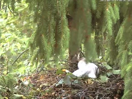 vlcsnap-2013-06-26-19h09m11s153.jpg