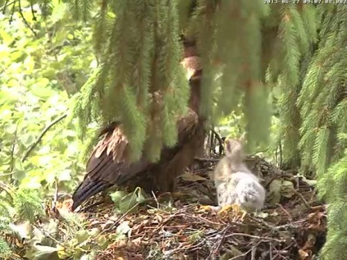 vlcsnap-2013-06-27-09h07m17s180.jpg
