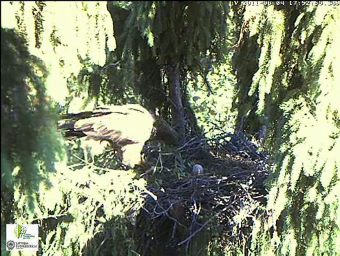 vlcsnap-2011-06-04-17h54m53s0.png