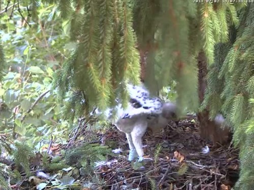 vlcsnap-2013-07-02-19h07m48s61.jpg