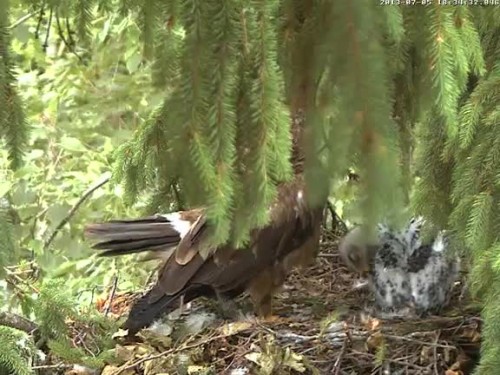 vlcsnap-2013-07-05-18h34m59s216.jpg
