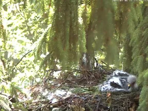 vlcsnap-2013-07-06-11h22m46s202.jpg