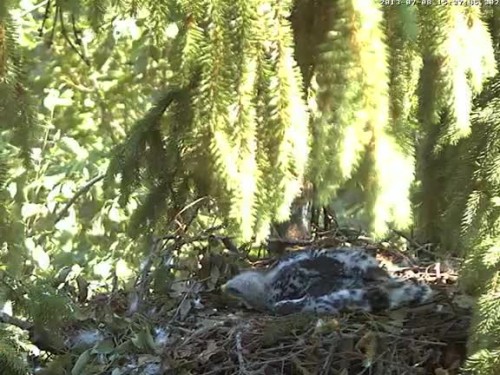 vlcsnap-2013-07-08-15h38m18s165.jpg