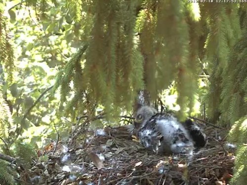 vlcsnap-2013-07-10-12h13m33s85.jpg