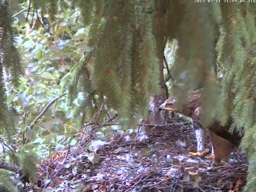 vlcsnap-2013-07-11-21h59m50s111.jpg