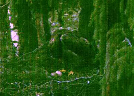 vlcsnap-2011-06-06-22h36m52s203.png