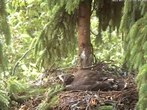 vlcsnap-2013-07-21-16h00m00s74.jpg