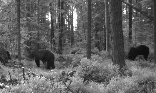 vlcsnap-2011-06-08-03h03m40s253.png