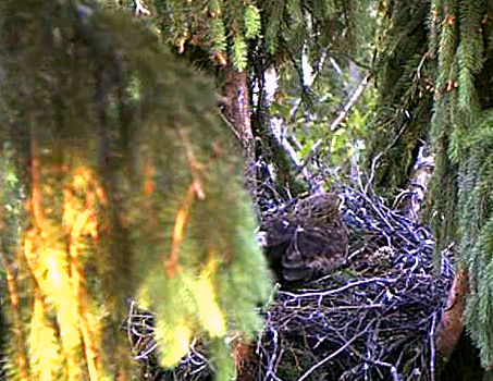 vlcsnap-2011-06-08-19h44m52s20.png