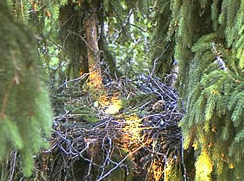 vlcsnap-2011-06-08-20h11m34s165.png