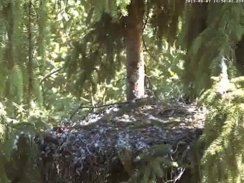 vlcsnap-2013-08-07-14h52m03s32.jpg