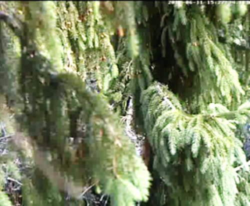 vlcsnap-2011-06-11-15h27m48s156.png
