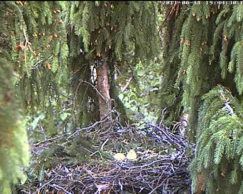 vlcsnap-2011-06-11-19h44m50s67.png