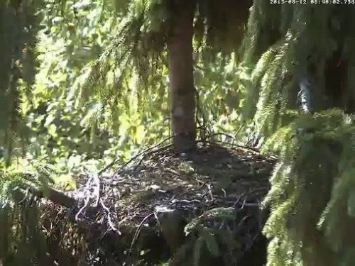 vlcsnap-2013-08-12-08h42m19s112.jpg