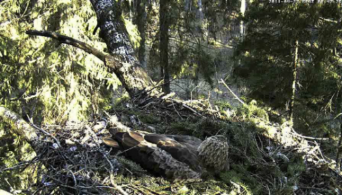 vlcsnap-2011-04-27-08h48m05s251.png